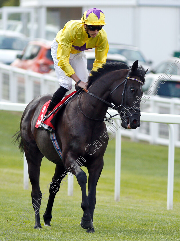 Coup-De-Gold-0001 
 COUP DE GOLD (James Doyle)
Sandown 31 Aug 2018 - Pic Steven Cargill / Racingfotos.com