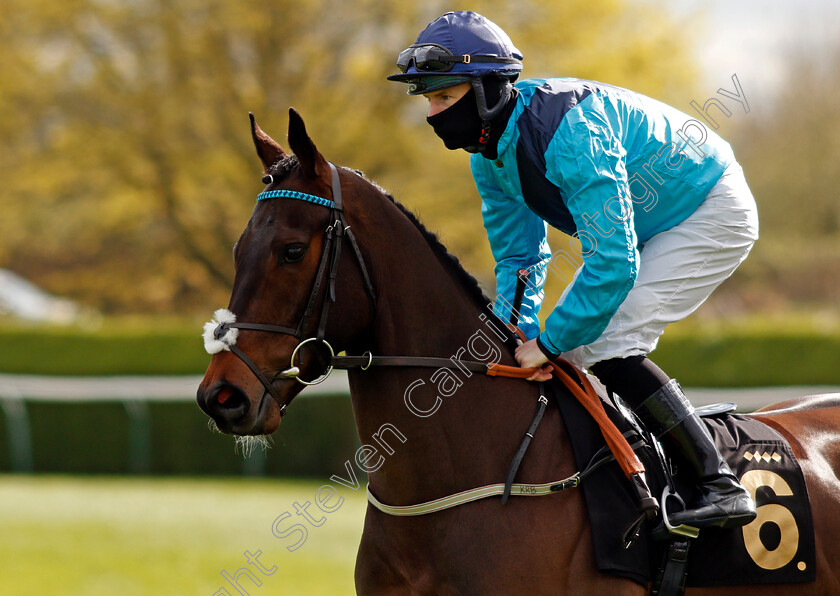 Rebel-At-Dawn-0002 
 REBEL AT DAWN (Richard Kingscote)
Nottingham 7 Apr 2021 - Pic Steven Cargill / Racingfotos.com