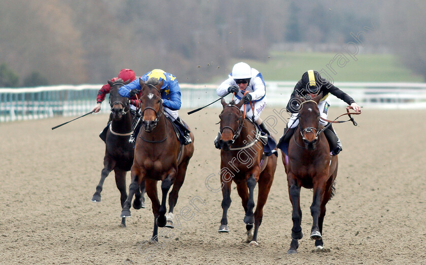 Spirit-Warning-0003 
 SPIRIT WARNING (Joshua Bryan) beats HYPNOS (left) and PORT OF LEITH (centre) in The Ladbrokes Home of The Odds Boost Handicap
Lingfield 2 Feb 2019 - Pic Steven Cargill / Racingfotos.com