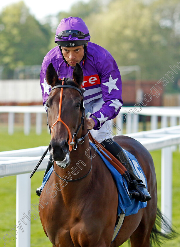 Oh-Sweet-Tabu 
 OH SWEET TABU (Sean Levey)
York 12 May 2022 - Pic Steven Cargill / Racingfotos.com