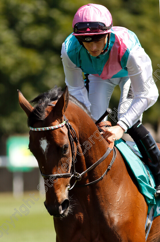 Chaleur-0001 
 CHALEUR (Harry Bentley)
Newmarket 13 Jul 2018 - Pic Steven Cargill / Racingfotos.com