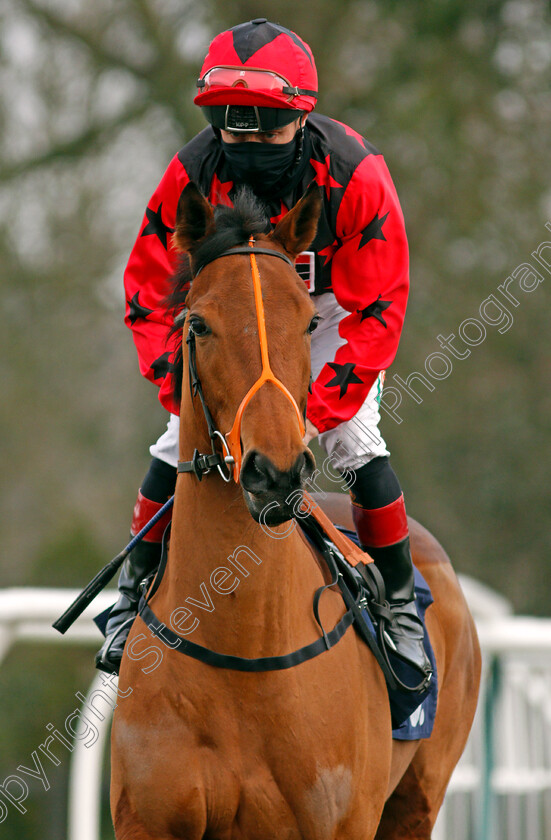 Waltzing-Queen-0002 
 WALTZING QUEEN (Shane Kelly)
Lingfield 9 Jan 2021 - Pic Steven Cargill / Racingfotos.com