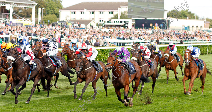 Hurricane-Ivor-0001 
 HURRICANE IVOR (right, Tom Marquand) beats BOUNDLESS POWER (left) in The Portland Handicap
Doncaster 11 Sep 2021 - Pic Steven Cargill / Racingfotos.com