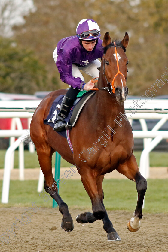 Forca-Timao-0001 
 FORCA TIMAO (Rossa Ryan)
Lingfield 20 Jan 2024 - Pic Steven Cargill / Racingfotos.com