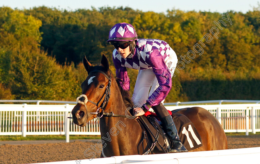 Telford-0001 
 TELFORD (Sean Dylan Bowen)
Chelmsford 3 Oct 2024 - Pic Steven Cargill / Racingfotos.com