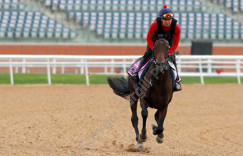 Jahbath-0002 
 JAHBATH training for the UAE Derby
Meydan 27 Mar 2019 - Pic Steven Cargill / Racingfotos.com