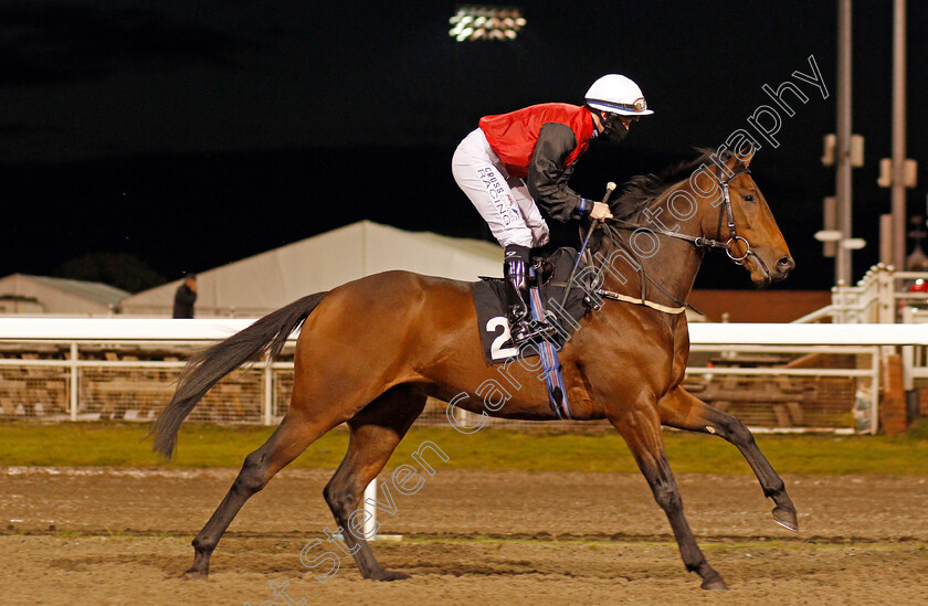 Born-To-Sire-0001 
 BORN TO SIRE (William Carson)
Chelmsford 15 Oct 2020 - Pic Steven Cargill / Racingfotos.com