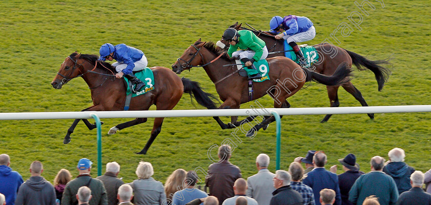 First-Nation-0001 
 FIRST NATION (William Buick) beats EYNHALLOW (centre) and DUKE OF BRONTE (right) in The bet365 Old Rowley Cup Newmarket 13 Oct 2017 - Pic Steven Cargill / Racingfotos.com