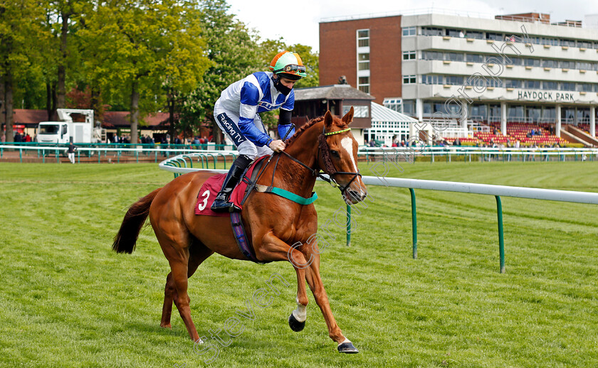 Redarna-0001 
 REDARNA (Paul Mulrennan)
Haydock 22 May 2021 - Pic Steven Cargill / Racingfotos.com