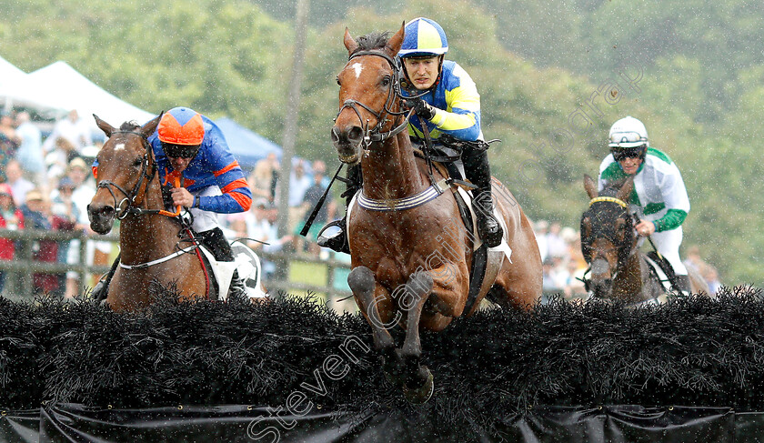 Lord-Justice-0002 
 LORD JUSTICE (Michael Mitchell) beats STOOSHIE (left) in The Bright Hour Handicap Hurdle
Percy Warner Park, Nashville Tennessee USA 11 May 2019 - Pic Steven Cargill / Racingfotos.com