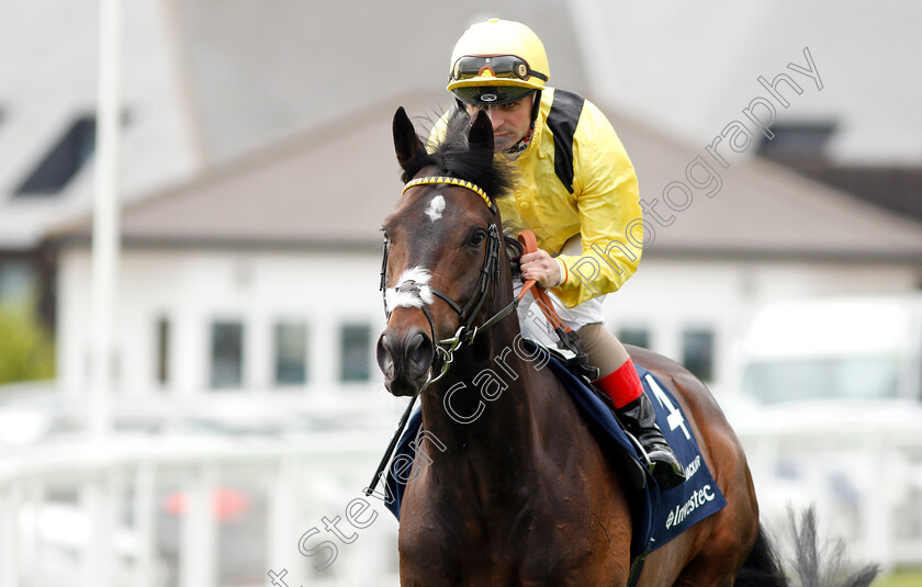 Mackaar-0002 
 MACKAAR (Andrea Atzeni)
Epsom 24 Apr 2019 - Pic Steven Cargill / Racingfotos.com