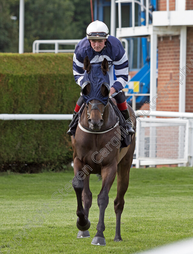 Star-Start-0001 
 STAR START (Harrison Shaw)
Nottingham 19 Jul 2024 - Pic Steven Cargill / Megan Dent / Racingfotos.com