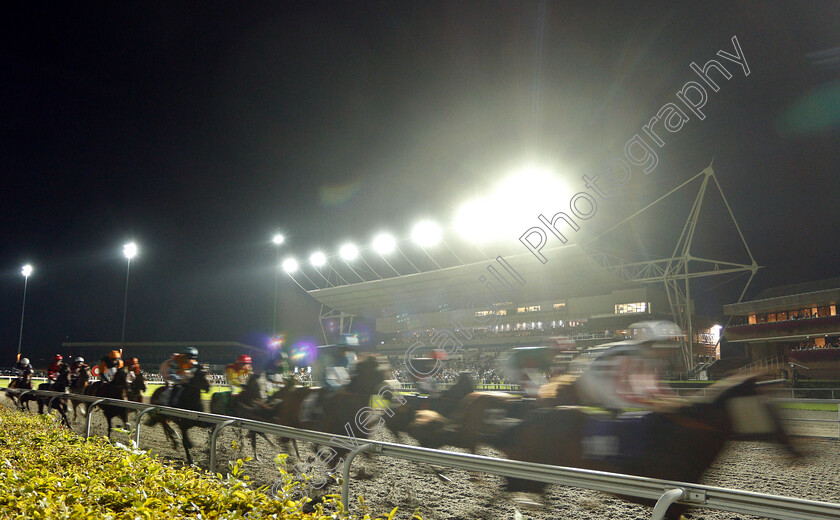 Kempton-0002 
 Horses racing past the stands
Kempton 15 Aug 2018 - Pic Steven Cargill / Racingfotos.com