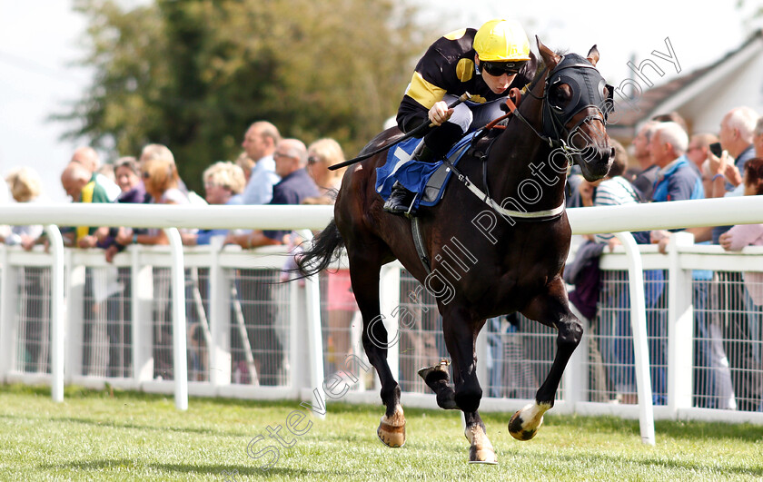 Rise-Hall-0004 
 RISE HALL (Callum Shepherd) wins The M J Church Novice Stakes
Salisbury 16 Aug 2018 - Pic Steven Cargill / Racingfotos.com