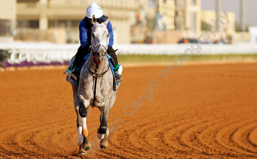 Saudi-Crown-0004 
 SAUDI CROWN training for The Saudi Cup
King Abdulaziz Racecourse, Saudi Arabia 21 Feb 2024 - Pic Steven Cargill / Racingfotos.com