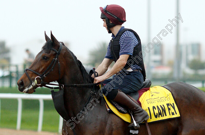 I-Can-Fly-0001 
 I CAN FLY training for The Dubai Turf
Meydan 28 Mar 2019 - Pic Steven Cargill / Racingfotos.com