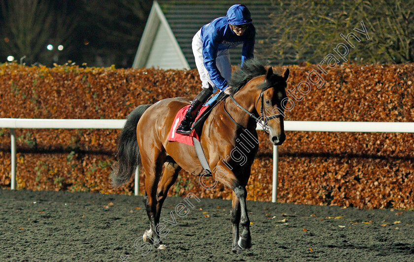 Boccaccio-0001 
 BOCCACCIO (James Doyle) before The 100% Profit Boost At 32redsport.com Novice Stakes
Kempton 27 Nov 2019 - Pic Steven Cargill / Racingfotos.com