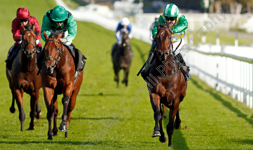 Caribou-0004 
 CARIBOU (right, Charles Bishop) beats MARKS BEAR (left) in The Download The tote Placepot App Irish EBF Novice Auction Stakes
Goodwood 11 Oct 2020 - Pic Steven Cargill / Racingfotos.com