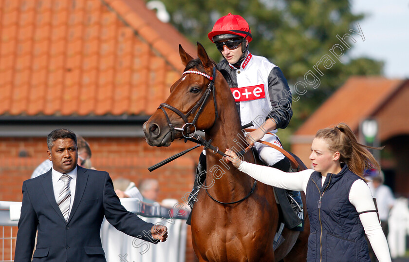 Domino-Darling-0002 
 DOMINO DARLING (Tom Marquand)
Newmarket 24 Sep 2021 - Pic Steven Cargill / Racingfotos.com