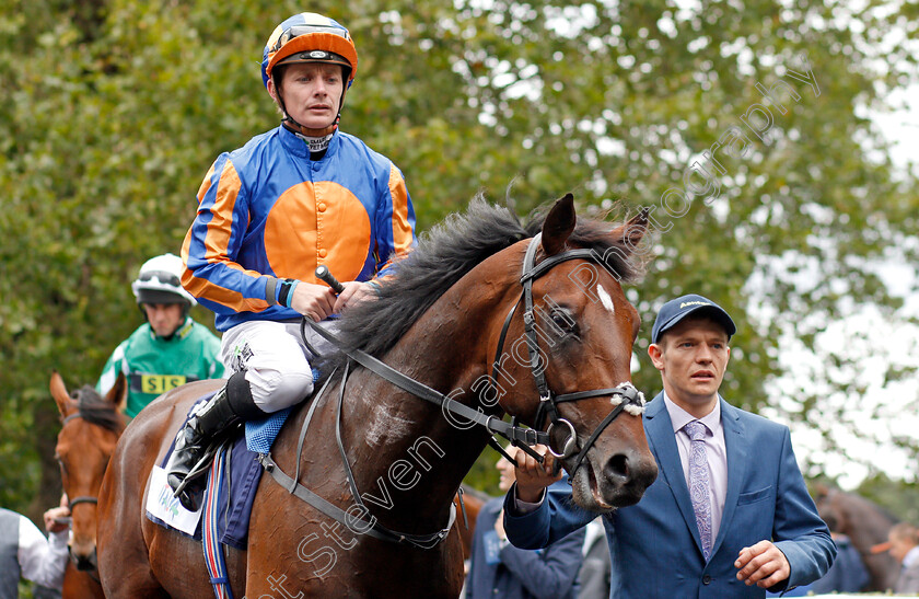 Cherokee-Trail-0007 
 CHEROKEE TRAIL (Kieran O'Neill) after The Italian Tourist Board British EBF Novice Stakes
Ascot 7 Sep 2019 - Pic Steven Cargill / Racingfotos.com