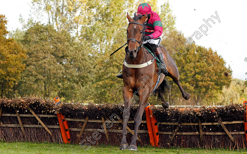 Irish-Sovereign-0002 
 IRISH SOVEREIGN (James Best)
Fakenham 16 Oct 2020 - Pic Steven Cargill / Racingfotos.com