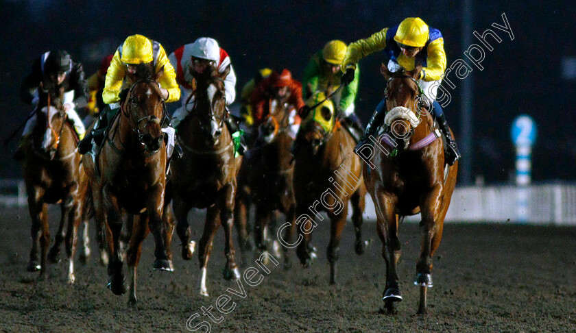 Cashel-0002 
 CASHEL (Alistair Rawlinson) wins The Introducing Racing TV Handicap
Kempton 16 Jan 2019 - Pic Steven Cargill / Racingfotos.com