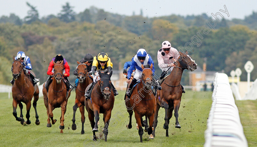 Bless-Him-0003 
 BLESS HIM (centre, Jamie Spencer) beats LORD NORTH (2nd right) as CHIEFOFCHIEFS (James Doyle) takes evasive action in The Lexicon Bracknell Handicap
Ascot 6 Sep 2019 - Pic Steven Cargill / Racingfotos.com