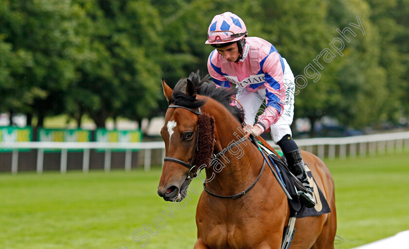 Almaty-Star-0001 
 ALMATY STAR (Rossa Ryan)
Newmarket 12 Jul 2024 - Pic Steven Cargill / Racingfotos.com