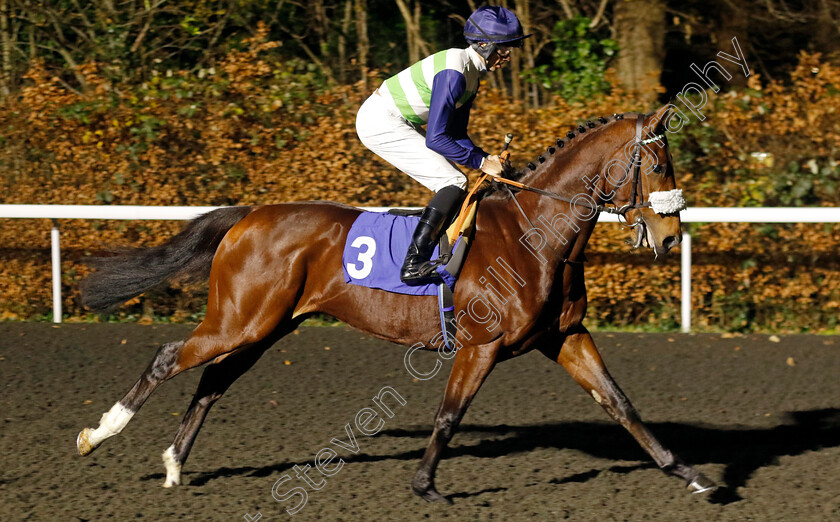 Chartwell-Jock-0001 
 CHARTWELL JOCK (Callum Hutchinson)
Kempton 4 Dec 2024 - Pic Steven Cargill / Racingfotos.com