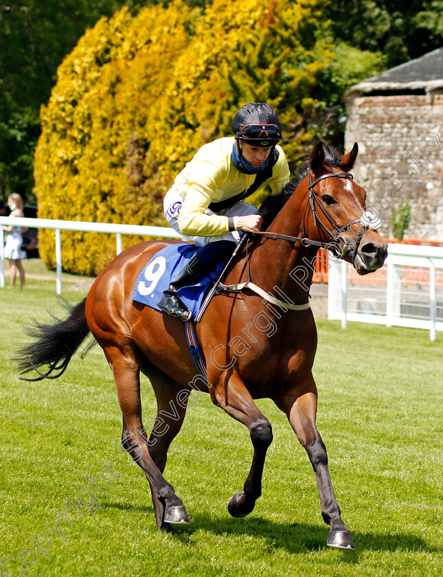 Bluebell-Way-0001 
 BLUEBELL WAY (David Probert)
Salisbury 8 Jun 2021 - Pic Steven Cargill / Racingfotos.com