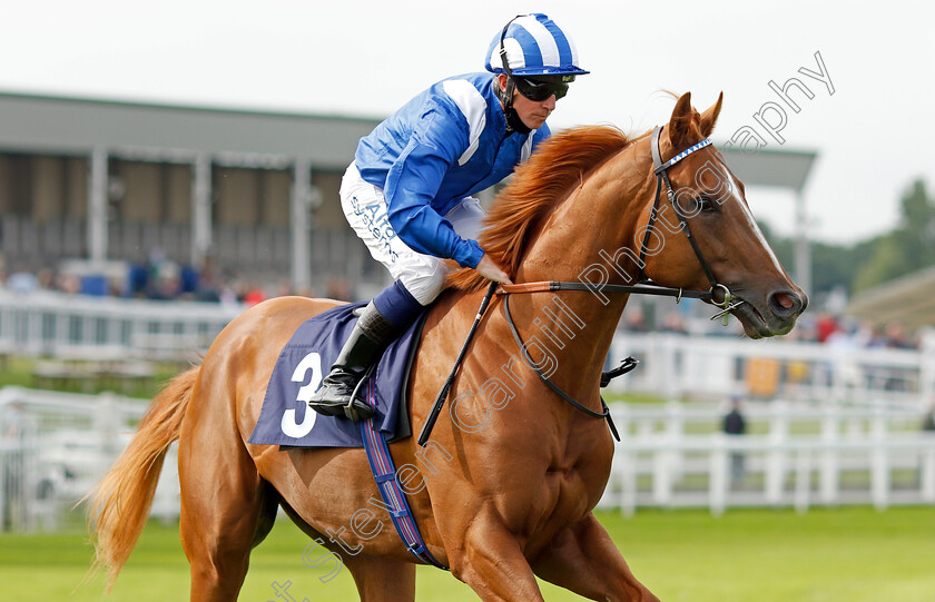 Moraweth-0002 
 MORAWETH (Jim Crowley)
Yarmouth 14 Jul 2021 - Pic Steven Cargill / Racingfotos.com