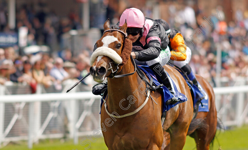 Look-Out-Louis-0003 
 LOOK OUT LOUIS (Jason Hart) wins The ICM Stellar Sports Handicap
Chester 5 May 2022 - Pic Steven Cargill / Racingfotos.com