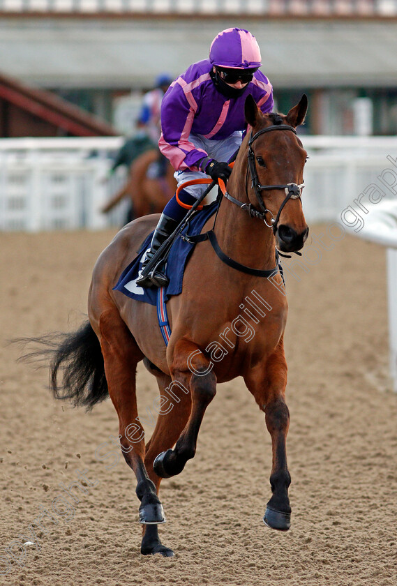 Dandy s-Max-0001 
 DANDY'S MAX (Andrew Mullen)
Wolverhampton 12 Mar 2021 - Pic Steven Cargill / Racingfotos.com