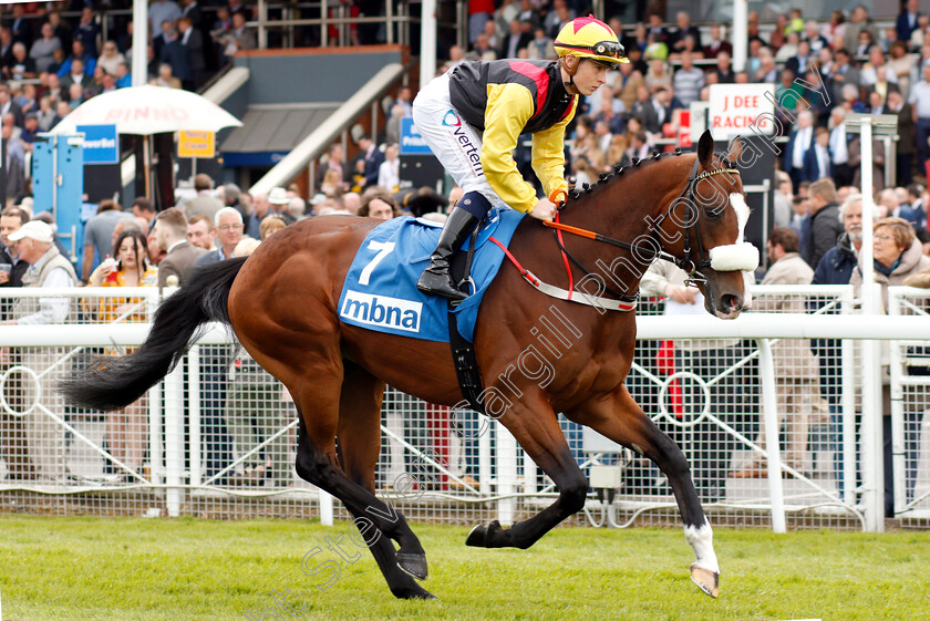 Miles-Christianus-0001 
 MILES CHRISTIANUS (Rowan Scott) 
Chester 9 May 2018 - Pic Steven Cargill / Racingfotos.com