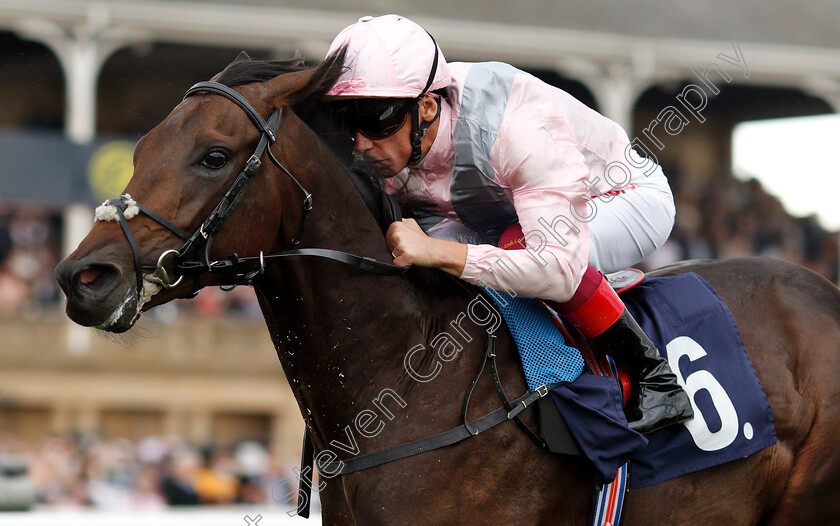 Too-Darn-Hot-0009 
 TOO DARN HOT (Frankie Dettori) wins The Howcroft Industrial Supplies Champagne Stakes
Doncaster 15 Sep 2018 - Pic Steven Cargill / Racingfotos.com