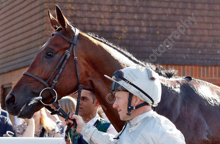 Matterhorn-0013 
 MATTERHORN (Joe Fanning) after The Betway Easter Classic All-Weather Middle Distance Championships Stakes
Lingfield 19 Apr 2019 - Pic Steven Cargill / Racingfotos.com