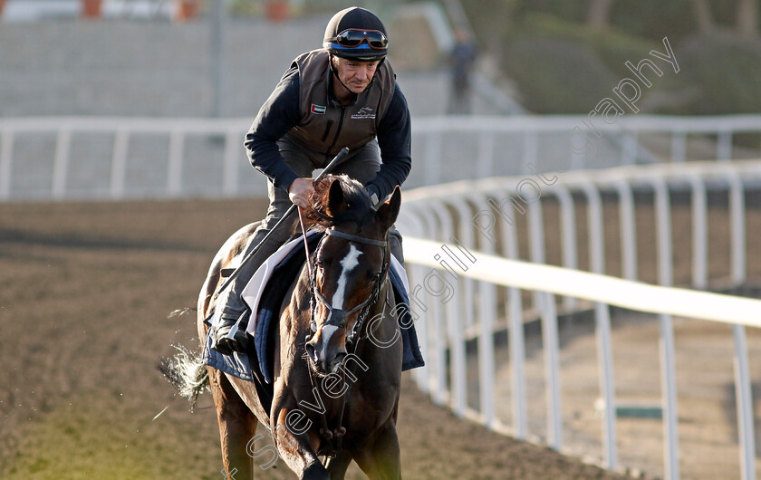 Sean-0001 
 SEAN training at the Dubai Racing Carnival 
Meydan 2 Jan 2025 - Pic Steven Cargill / Racingfotos.com