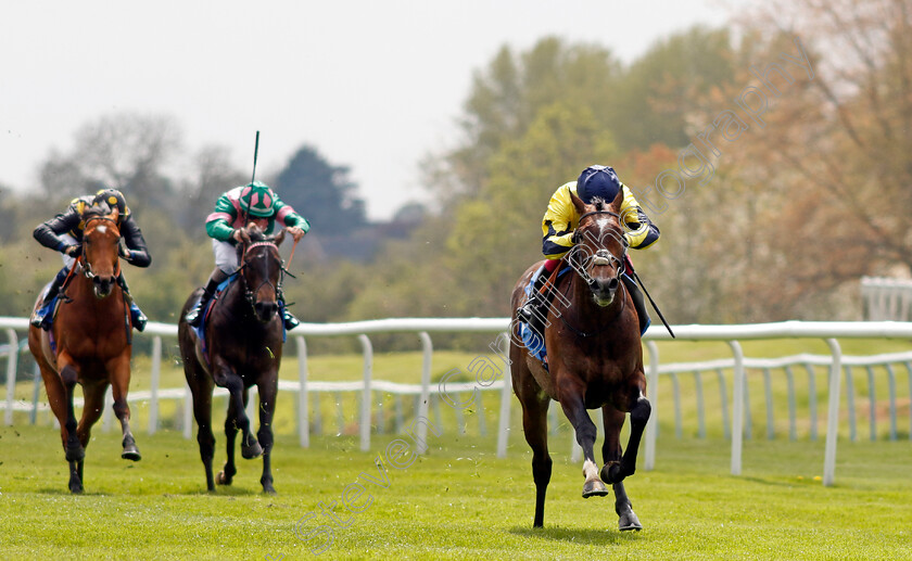 Spanish-Phoenix-0007 
 SPANISH PHOENIX (Oisin Murphy) wins The Atlantic Pale Ale Maiden Stakes
Leicester 29 Apr 2023 - Pic Steven Cargill / Racingfotos.com