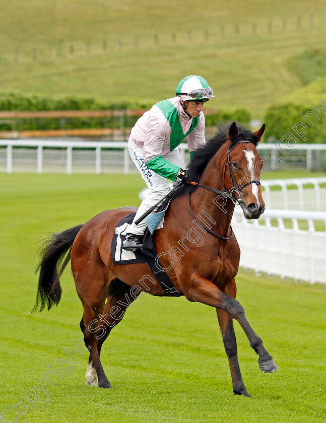 Royal-Scotsman-0001 
 ROYAL SCOTSMAN (Jim Crowley) winner of The William Hill Acca Club British EBF Novice Stakes
Goodwood 20 May 2022 - Pic Steven Cargill / Racingfotos.com