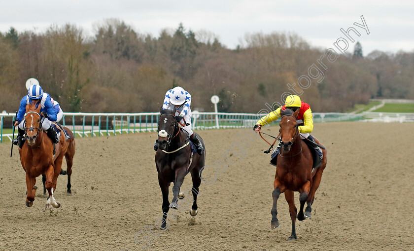 Kodiac-Thriller-0005 
 KODIAC THRILLER (right, William Cox) beats MIDNIGHT RAVENS (centre) and WALEEFY (left) in The BetMGM It's Showtime EBF Novice Stakes
Lingfield 23 Dec 2023 - Pic Steven Cargill / Racingfotos.com