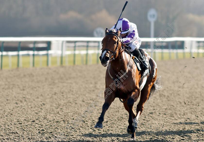 Gorgeous-Noora-0006 
 GORGEOUS NOORA (Hollie Doyle) wins The Betway Hever Sprint Stakes
Lingfield 23 Feb 2019 - Pic Steven Cargill / Racingfotos.com