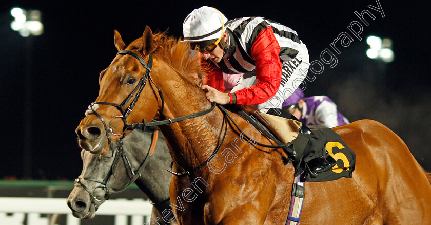 Harry s-Bar-0004 
 HARRY'S BAR (Tom Marquand) wins The 32Red.com Handicap
Kempton 4 Dec 2019 - Pic Steven Cargill / Racingfotos.com