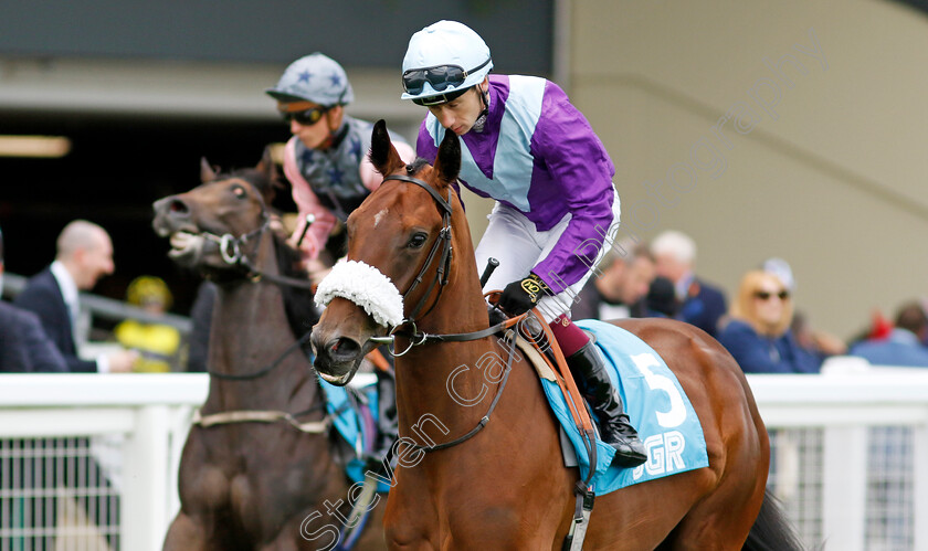 Musical-Angel-0001 
 MUSICAL ANGEL (Oisin Murphy)
Ascot 26 Jul 2024 - Pic Steven Cargill / Racingfotos.com