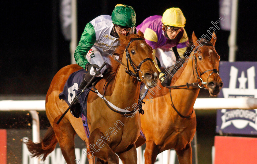 Princess-Layan-0004 
 PRINCESS LAYAN (Jack Garritty) wins The LAdbrokes Watch Racing Online For Free Fillies Novice Stakes
Wolverhampton 4 Jan 2021 - Pic Steven Cargill / Racingfotos.com