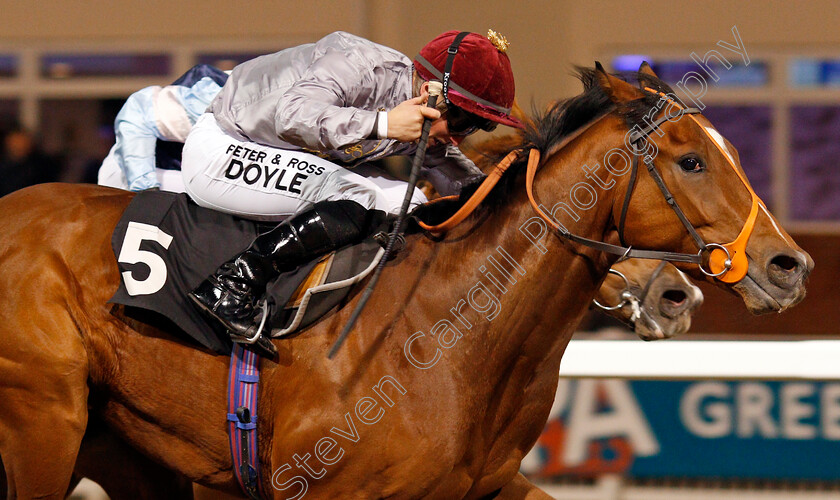 Mushtaq-0006 
 MUSHTAQ (Tom Marquand) wins The Bet toteJackpot At betfred.com EBF Novice Stakes Chelmsford 7 Dec 2017 - Pic Steven Cargill / Racingfotos.com