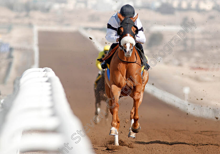 Interconnection-0004 
 INTERCONNECTION (Xavier Ziani) wins The Shadwell Farm Handicap Jebel Ali 9 Mar 2018 - Pic Steven Cargill / Racingfotos.com