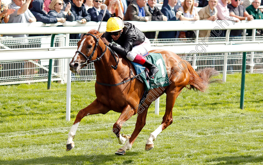 Stradivarius-0007 
 STRADIVARIUS (Frankie Dettori) wins The Weatherbys Hamilton Lonsdale Cup
York 24 Aug 2018 - Pic Steven Cargill / Racingfotos.com