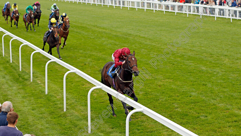 Outbreak-0002 
 OUTBREAK (Oisin Murphy) wins The Byerley Stud Novice Stakes
Salisbury 2 Sep 2021 - Pic Steven Cargill / Racingfotos.com