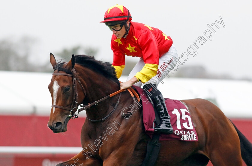 Survie-0001 
 SURVIE (Tom Marquand)
Longchamp 6 Oct 2024 - Pic Steven Cargill / Racingfotos.com