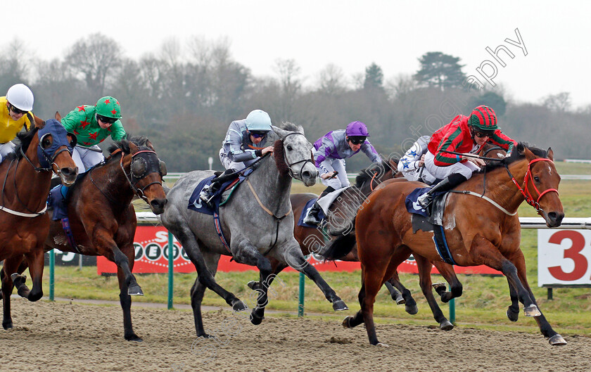 Easy-Tiger-0005 
 EASY TIGER (Liam Keniry) beats GENERAL HAZARD (centre) and ELTEZAM (2nd left) in The Betway Handicap Lingfield 6 Jan 2018 - Pic Steven Cargill / Racingfotos.com